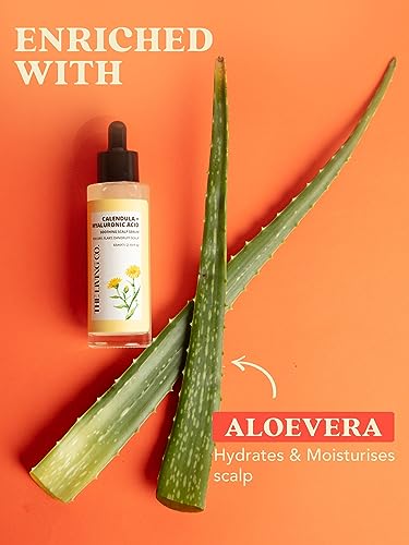 THE LIVING CO. Calendula + Hyaluronic Soothing Scalp Serum 65 ml with Ceramides I Hydrates scalp, Repairs scalp barrier, Fights dandruff, Reduces flakes & Itchiness | for Men & Women (1 Month Pack)