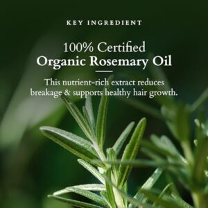 Lotus Organics+ Hair Growth Active Concentrate Serum | Made with 100% Organic Rosemary Oil, AnaGain & Hairdian | Boosts Hair Growth | Strengthens Hair Follicles | For All Hair Types | 28ml