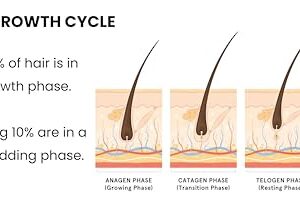 Instant Outcome Hair Growth Serum - Redensyl 3%, Anagain 6%, Baicapil 4%, Capilia Longa 1% | Hair Fall Control & Regrowth | Women & Men | Rosemary + Biotin | 30mL