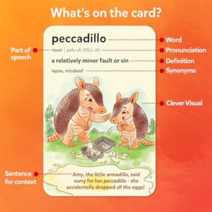 Vocabulary Flash Cards for SAT Prep ? Learn 100 Words with Wordplay, Visuals & Soundplay, Study Aid & Educational Gift for Ages 12, 13, 14 & Up, Screen-Free Language Game