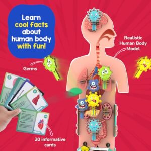 Smartivity Human Body Toy for Kids 6-12 Years|Body Organs & Functions|Birthday Gifts for Unisex|DIY Science Toys 6,7,8,9,10,11,12,13,14 Years Old I STEM Building Set Wooden Construction Game,79 Pcs