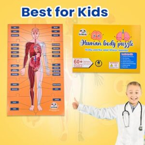 Human Body Puzzle for Kids 4-10 Yrs | Learn Body Parts, Organs & Functions | Perfect Smart Learning & Educational Wooden Toy Gift for Diwali or Children?s Day for Boys & Girls