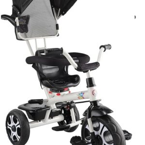 JoyRide 4 in 1 Convertible Baby Tricycle Toddler Stroller Pedal Tricycle w/Reversible Seat Adjustable Removable Handle Canopy Handrail Belt Storage Footrest for 1-5 Years Old (Black)